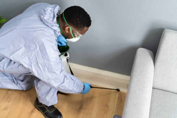 Best Residential Pest Control  in Conneaut, OH